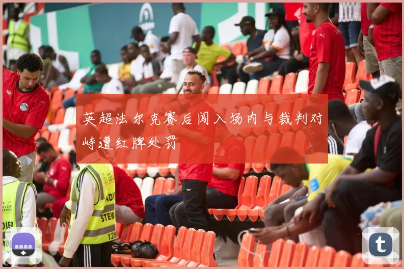英超法尔克赛后闯入场内与裁判对峙遭红牌处罚