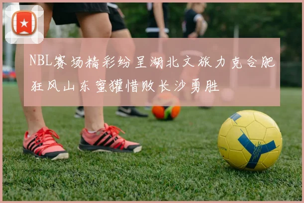 NBL赛场精彩纷呈湖北文旅力克合肥狂风山东蜜獾惜败长沙勇胜