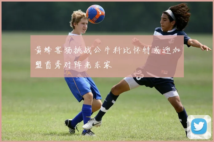 黄蜂客场挑战公牛科比怀特或迎加盟首秀对阵老东家