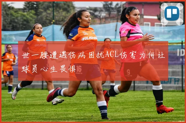 世一腰遭遇伤病困扰ACL伤害为何让球员心生畏惧
