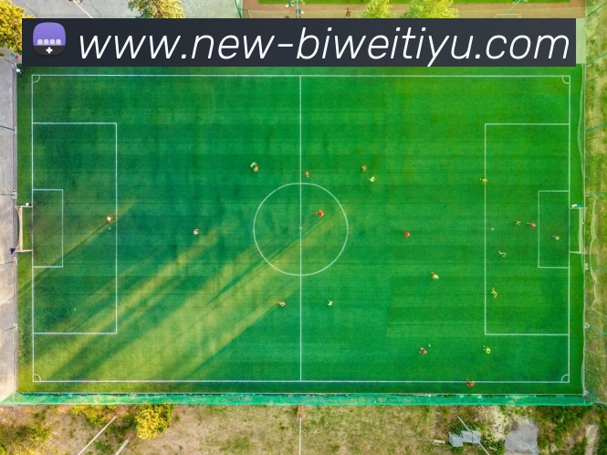 必威体育APP 封面图